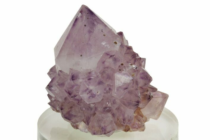 Sparkling Cactus Amethyst Crystal Cluster - South Africa #364598